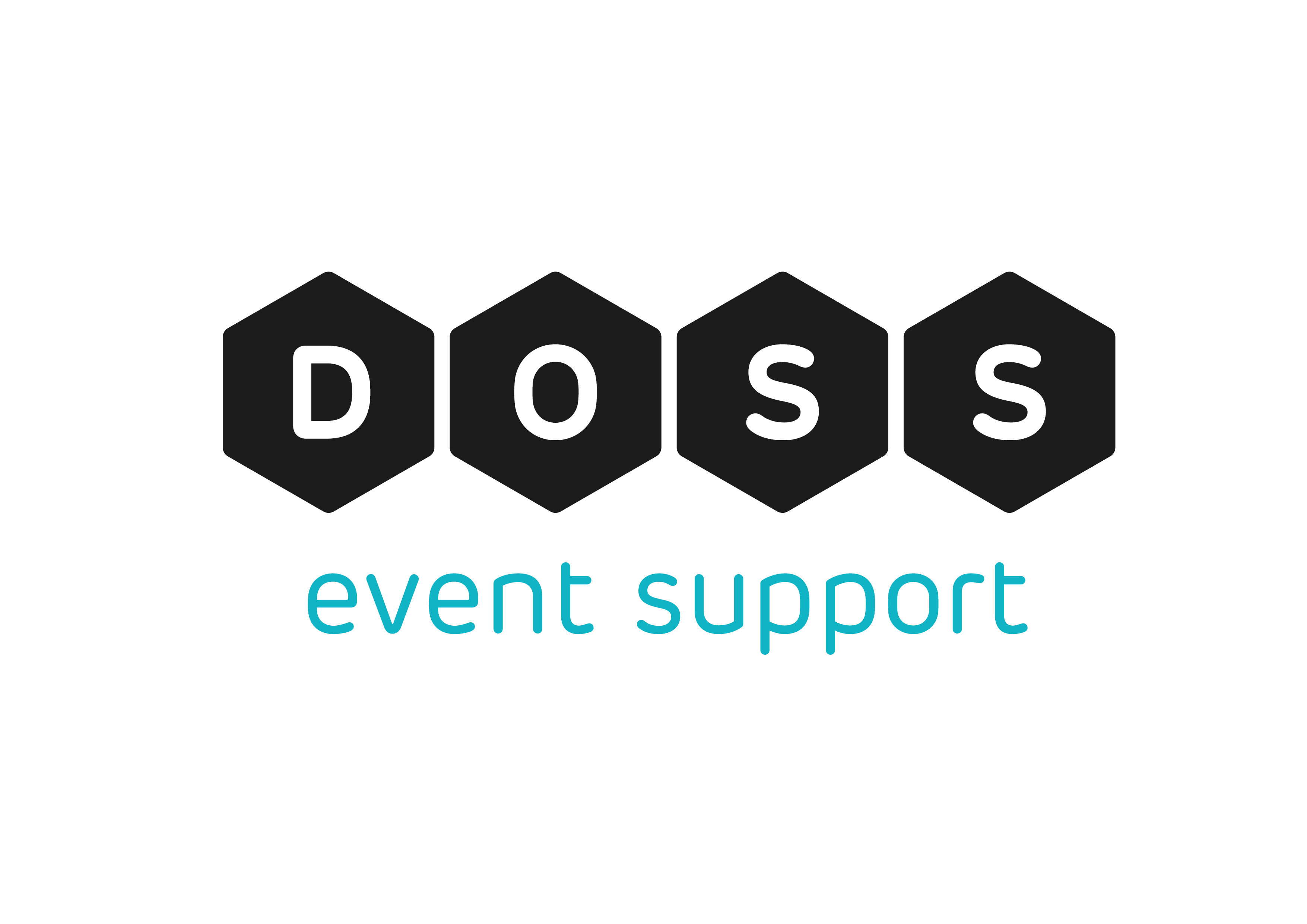 DOSS - partner Alkmaar Bevrijd evenement